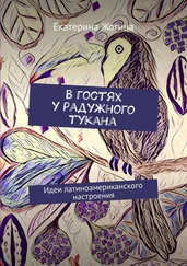 Екатерина Жогина - В гостях у радужного тукана. Идеи латиноамериканского настроения