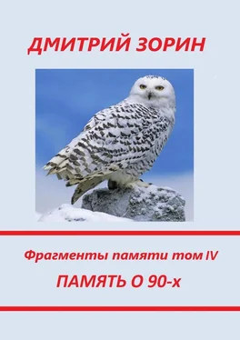 Дмитрий Зорин Память о 90-х. Фрагменты памяти. Том IV обложка книги