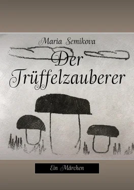 Maria Semikova Der Trüffelzauberer. Ein Märchen обложка книги