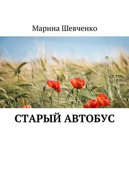 Марина Шевченко Старый автобус обложка книги