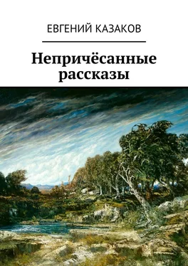 Евгений Казаков Непричёсанные рассказы обложка книги