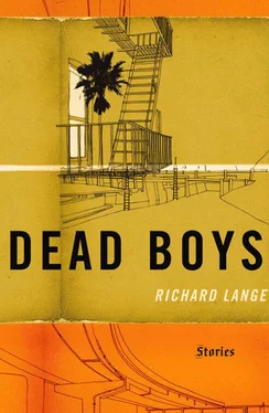 Richard Lange Dead Boys: Stories обложка книги