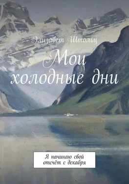 Элизабет Штольц Мои холодные дни. Я начинаю свой отсчёт с декабря обложка книги