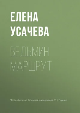 Елена Усачева Ведьмин маршрут обложка книги