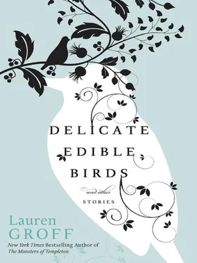 Lauren Groff Delicate Edible Birds: And Other Stories обложка книги