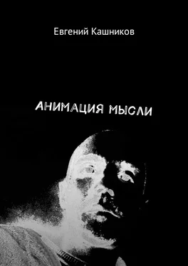 Евгений Кашников Анимация мысли обложка книги