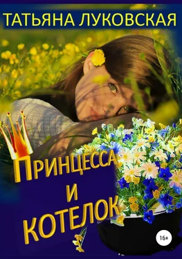 Татьяна Луковская Принцесса и котелок обложка книги