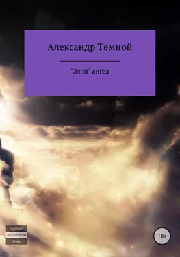 Александр Темной «Злой» ангел обложка книги