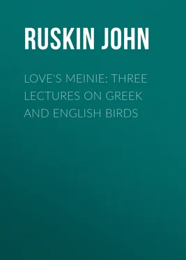 John Ruskin Love's Meinie: Three Lectures on Greek and English Birds обложка книги