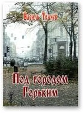 Василь Ткачев Под городом Горьким обложка книги