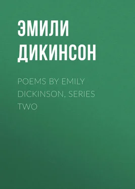 Эмили Дикинсон Poems by Emily Dickinson, Series Two обложка книги