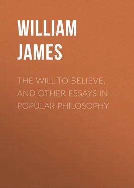 William James The Will to Believe, and Other Essays in Popular Philosophy обложка книги