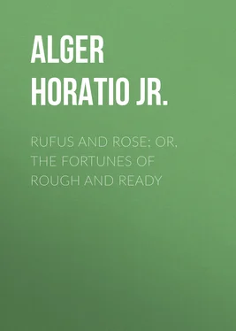 Horatio Alger Rufus and Rose; Or, The Fortunes of Rough and Ready обложка книги
