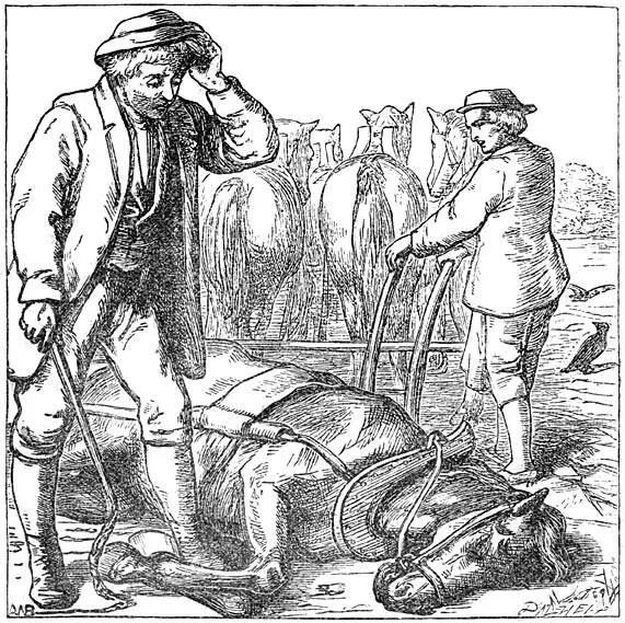 Ach nu heb ik geen paard meer zei de kleine Klaas en begon te weenen - фото 6