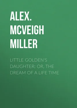 Alex. McVeigh Miller Little Golden's Daughter; or, The Dream of a Life Time обложка книги
