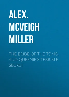 Alex. McVeigh Miller The Bride of the Tomb, and Queenie's Terrible Secret обложка книги