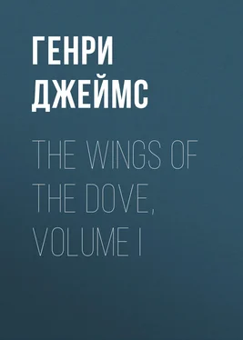 Генри Джеймс The Wings of the Dove, Volume I обложка книги