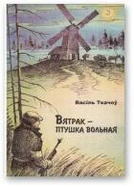 Васіль Ткачоў Вятрак – птушка вольная обложка книги