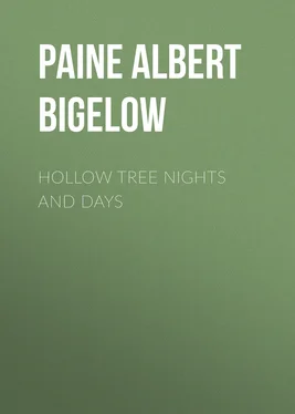 Albert Paine Hollow Tree Nights and Days обложка книги