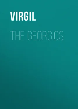 Virgil The Georgics обложка книги