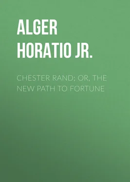 Horatio Alger Chester Rand; or, The New Path to Fortune обложка книги