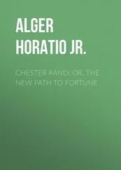 Horatio Alger - Chester Rand; or, The New Path to Fortune