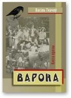 Васіль Ткачоў Варона обложка книги