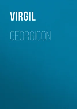 Virgil Georgicon