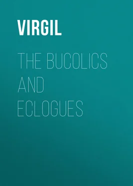 Virgil The Bucolics and Eclogues обложка книги