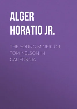 Horatio Alger The Young Miner; Or, Tom Nelson in California обложка книги