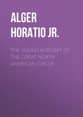Horatio Alger The Young Acrobat of the Great North American Circus обложка книги