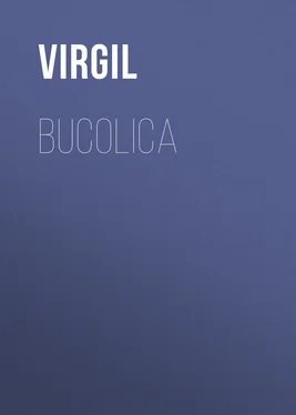 Virgil Bucolica обложка книги