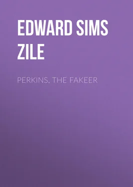 Edward Sims van Zile Perkins, the Fakeer обложка книги