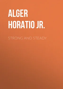 Horatio Alger Strong and Steady обложка книги