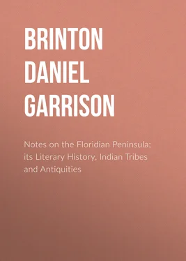 Daniel Brinton Notes on the Floridian Peninsula; its Literary History, Indian Tribes and Antiquities обложка книги