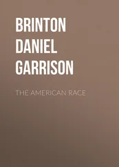Daniel Brinton - The American Race