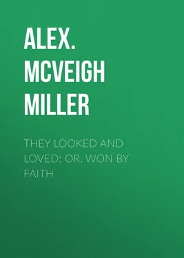 Alex. McVeigh Miller They Looked and Loved; Or, Won by Faith обложка книги
