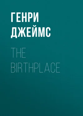 Генри Джеймс The Birthplace обложка книги