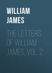 William James - The Letters of William James, Vol. 2