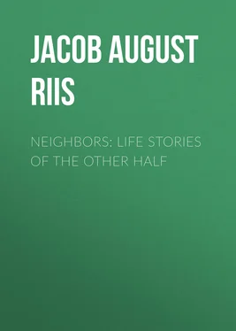 Jacob August Riis Neighbors: Life Stories of the Other Half обложка книги