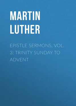 Martin Luther Epistle Sermons, Vol. 3: Trinity Sunday to Advent обложка книги