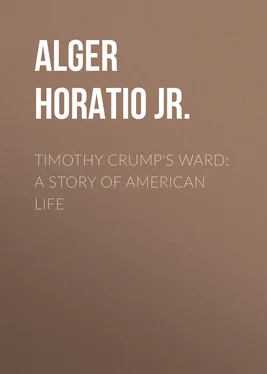 Horatio Alger Timothy Crump's Ward: A Story of American Life обложка книги
