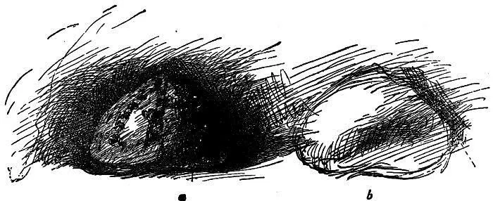Fig 5 Therefore set yourself steadily to conquer that round stone and you - фото 1