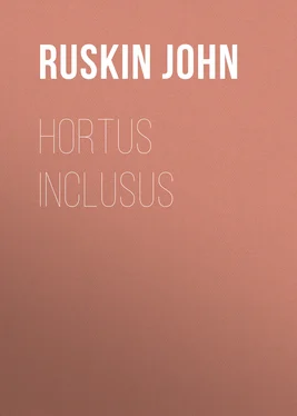 John Ruskin Hortus Inclusus обложка книги