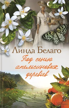 Линда Белаго Под сенью апельсиновых деревьев обложка книги