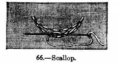 ILLUSTRATION 66 shows how to prepare a scallop Take thicker cotton than that - фото 28