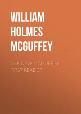 William Holmes McGuffey The New McGuffey First Reader обложка книги