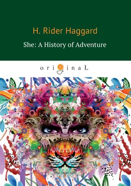 Генри Райдер Хаггард She: A History of Adventure обложка книги