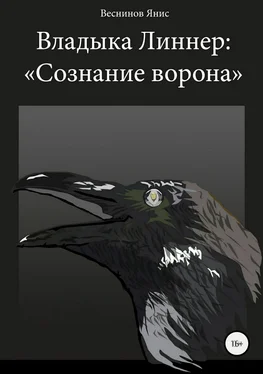 Янис Веснинов Владыка Линнер: «Сознание Ворона» обложка книги