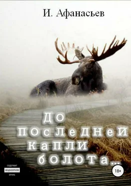 Игорь Афанасьев До последней капли болота обложка книги